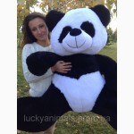 Панда плюшевая 200 см
