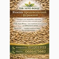 Закупка ячменю дорого