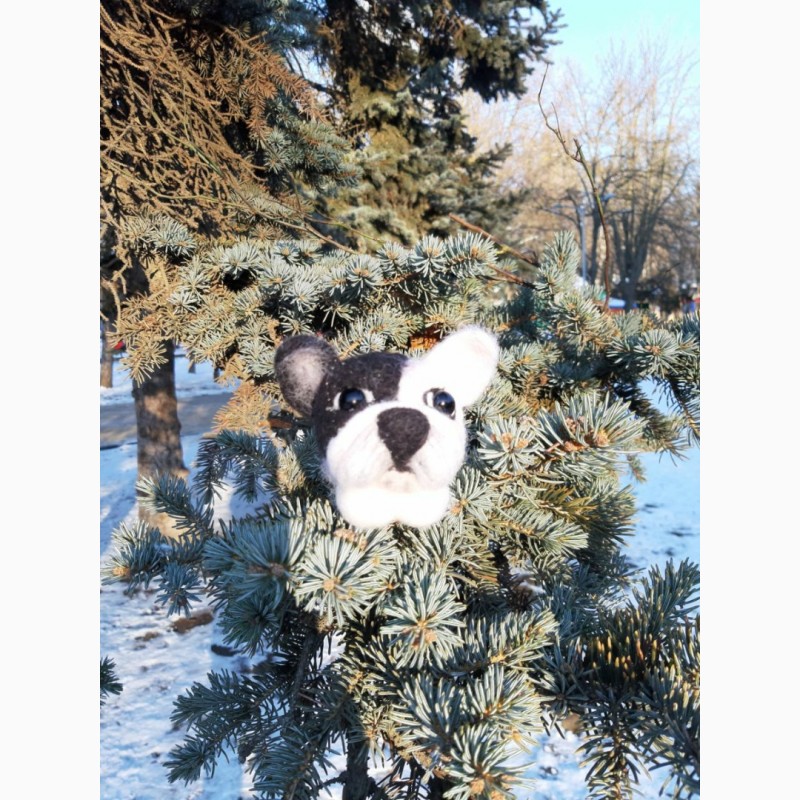 Фото 5. Французский бульдог собака игрушка хендмєйд валяная изшерсти интерьерная ручная работа пес