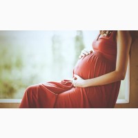 Суррогатное материнство Украина – Лучшие Клиники