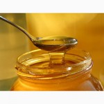 Продам мед оптом (акация, липа, лесное разнотравье)