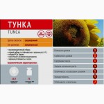 Семена подсолнечника Limagrain TUNCA / Тунка (США)