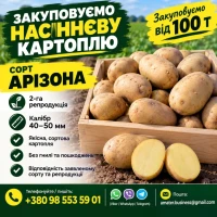 Купуємо насіннєву картоплю, від 100т
