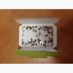 Уничтожение тараканов и других насекомых в Днепропетровске