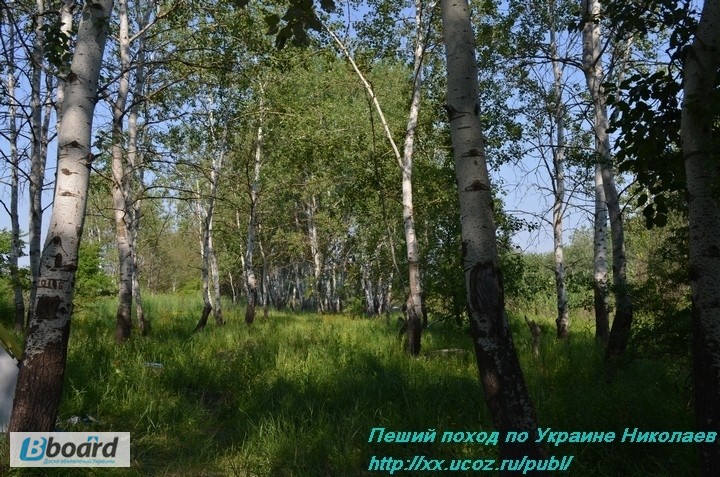 Фото 8. Где отдохнуть в Украине летом