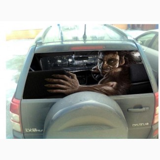 Наклейка на заднее стекло автомобиля 3D 130cm*70cm