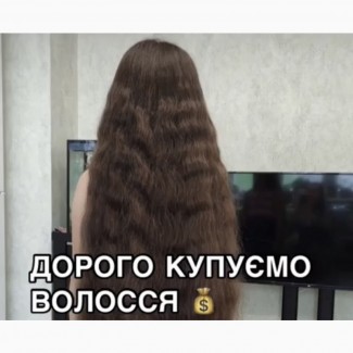 Купимо ваше волосся до 125000 грн у Вінниці від 35 см. Стрижка у ПОДАРУНОК