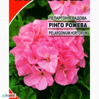 Насіння пеларгонії садової рожевої «Рінго»