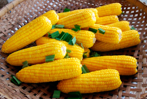 Фото 9. Куплю кукурузу нового урожая