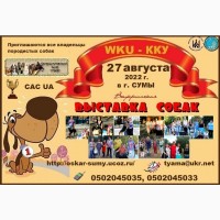 Приглашаем всех на Всеукраинскую выставку собак 2022