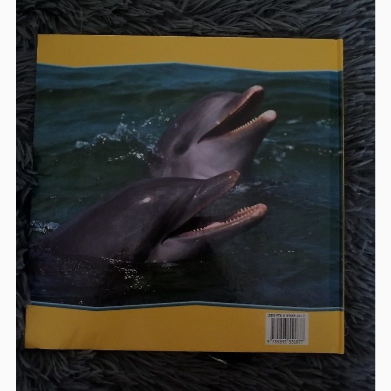 Фото 3. Книга первое знакомство дельфины, киев