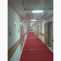 Прокат красной дорожки