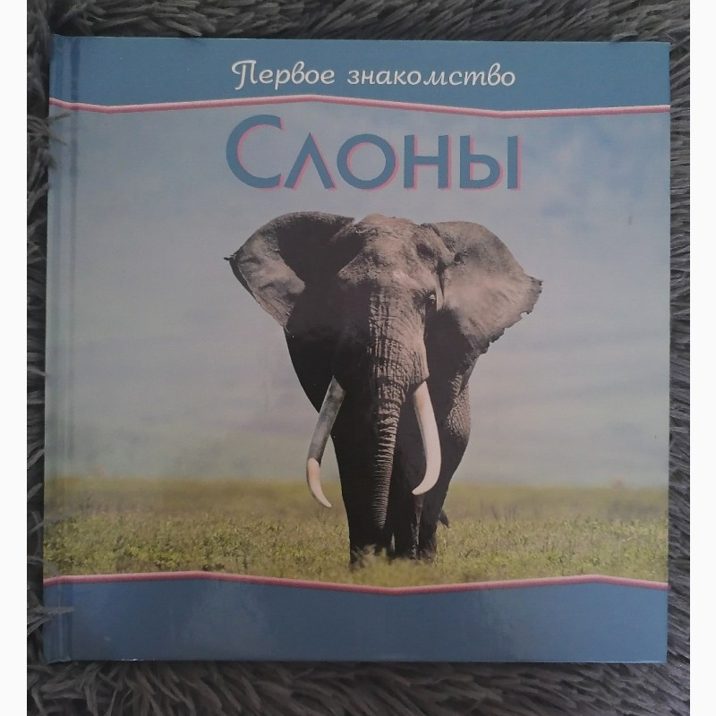 Книга первое знакомство слоны, киев
