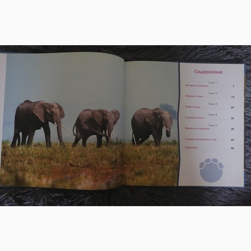 Фото 2. Книга первое знакомство слоны, киев
