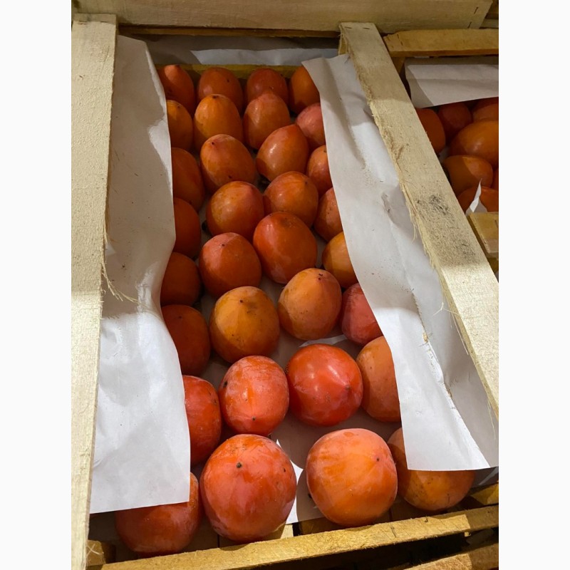 Фото 4. Продам гранат, мандарины, апельсины от поставщика с 3 тонн