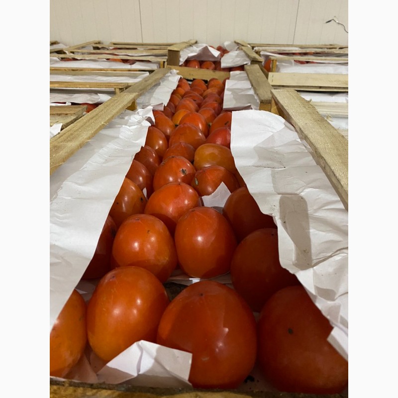 Фото 10. Продам гранат, мандарины, апельсины от поставщика с 3 тонн
