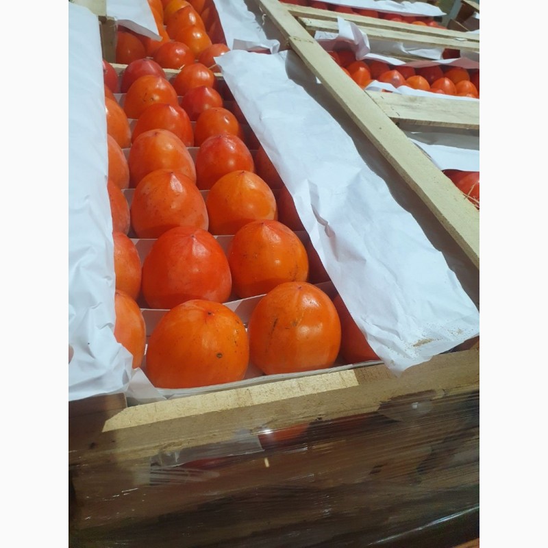 Фото 11. Продам гранат, мандарины, апельсины от поставщика с 3 тонн