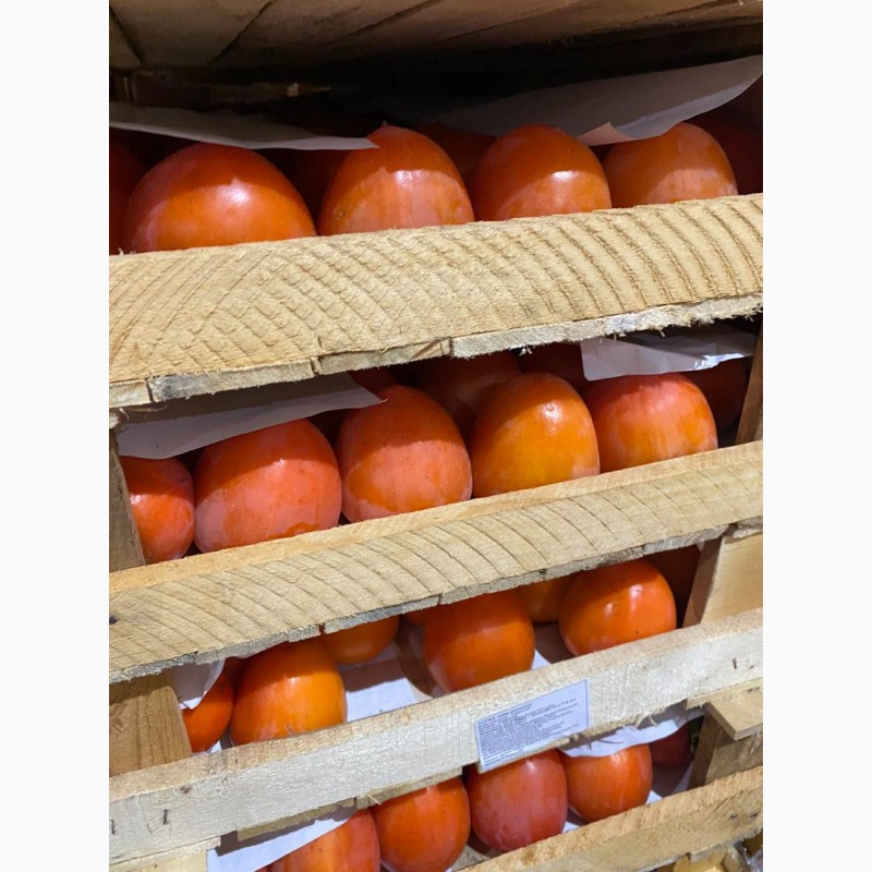 Фото 12. Продам гранат, мандарины, апельсины от поставщика с 3 тонн