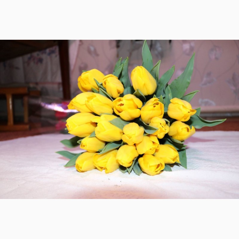 Фото 5. Тюльпаны оптом на 8 марта