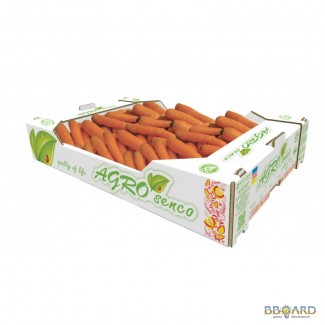 Продам оптом морковь TM AGRO SENCO