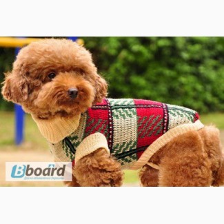 Теплый свитер для собаки «Шотландка»