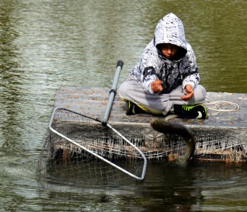Фото 3. Рыбалка И Охота В Днепропетровской Области