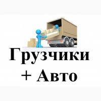 Разборка и сборка мебели, витрин и прочего