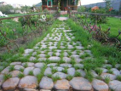 Фото 2. Травница садовая дорожка.Продажа плитки по Запорожью