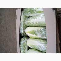Продам пекинскую капусту от поставщика
