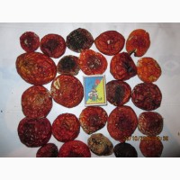 Грибы сухие Мухомор красный Amanita muscaria