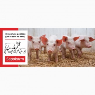 Добавка мінеральна кормова для свиней Сапокорм