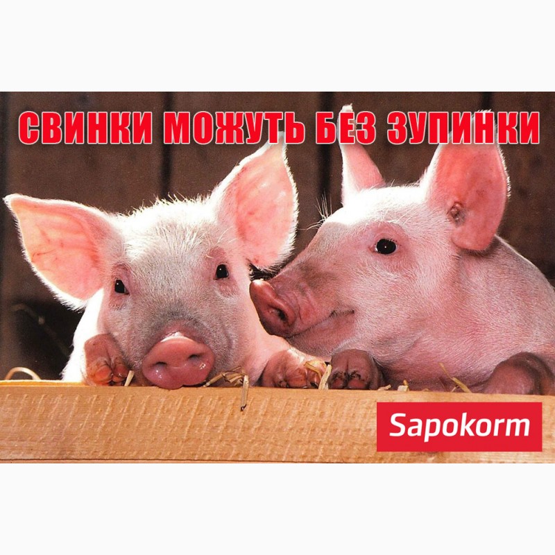 Фото 8. Добавка мінеральна кормова для свиней Сапокорм