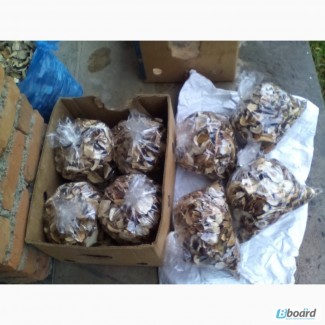 Продам белые сухие грибы из Закарпатье по 800 гр