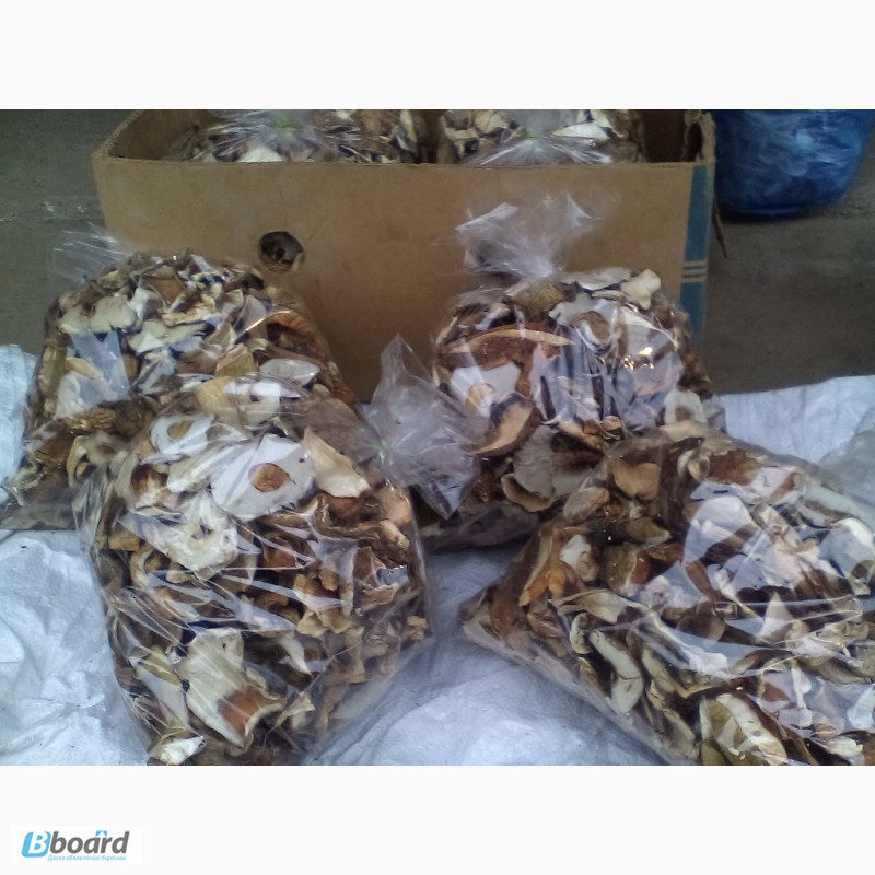 Фото 2. Продам белые сухие грибы из Закарпатье по 800 гр