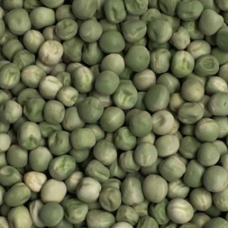 Дубайська компанія закуповує льон і горох зелений для експорту