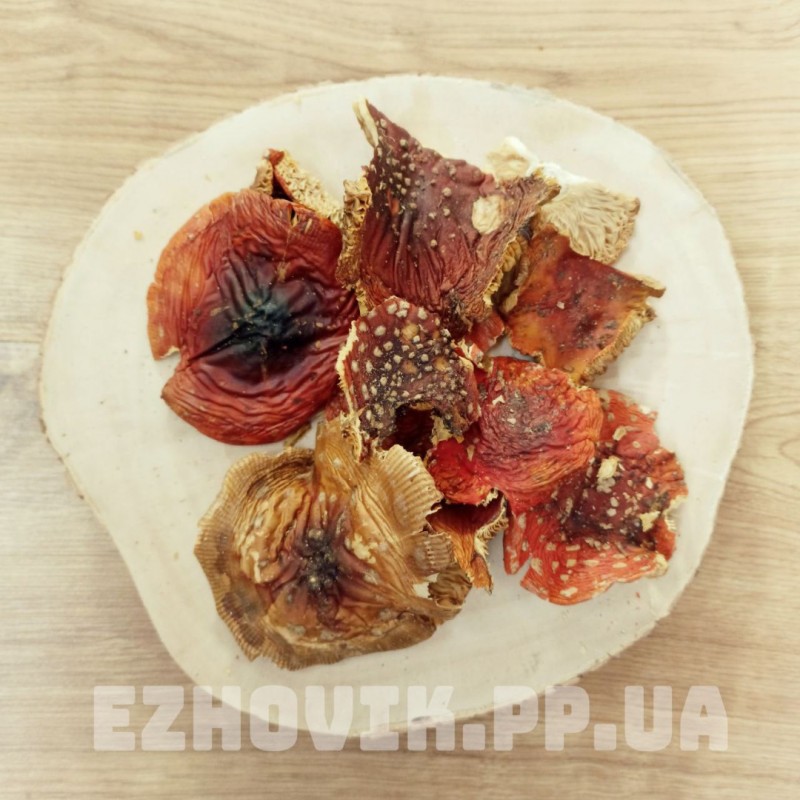 Фото 2. КРАСНЫЙ МУХОМОР 2023 - Шляпки красного мухомора сушеные, купить в Украине для микродозинга