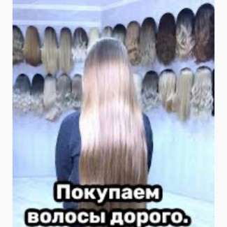 Волосся купуємо дорого до 125000 грн. у Дніпрі Скупка волосся дорого без посередників