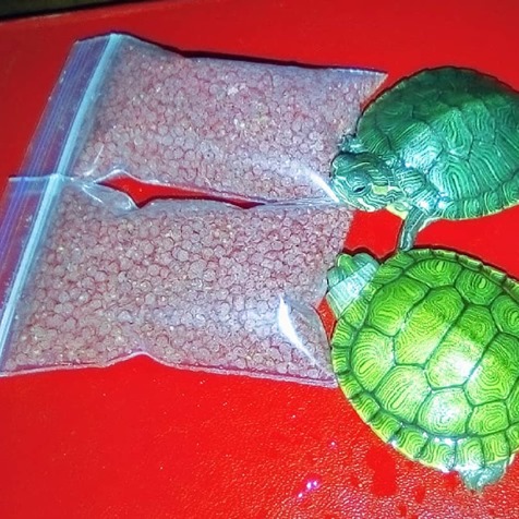 Фото 3. Самые красивые черепахи в мире - это красноухие черепашки
