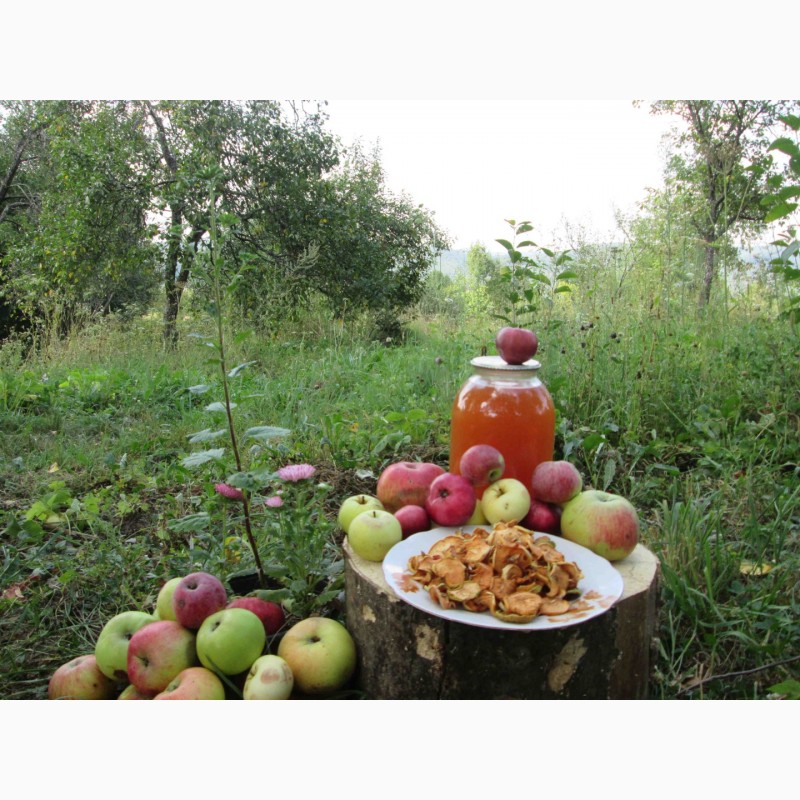 Фото 10. Сок яблочный домашний с горного сада Карпат