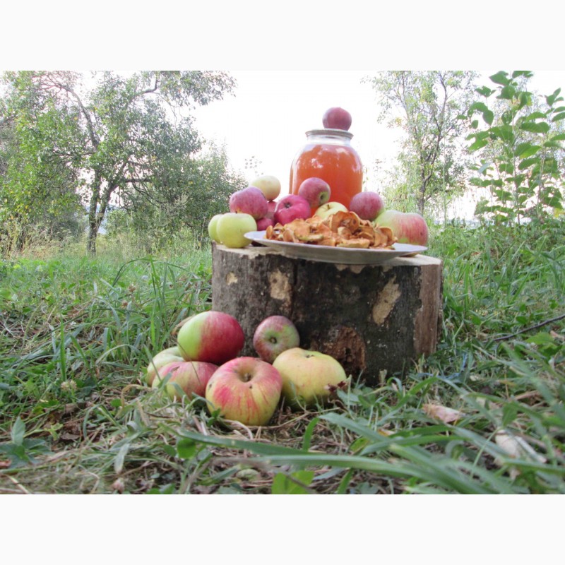 Фото 11. Сок яблочный домашний с горного сада Карпат