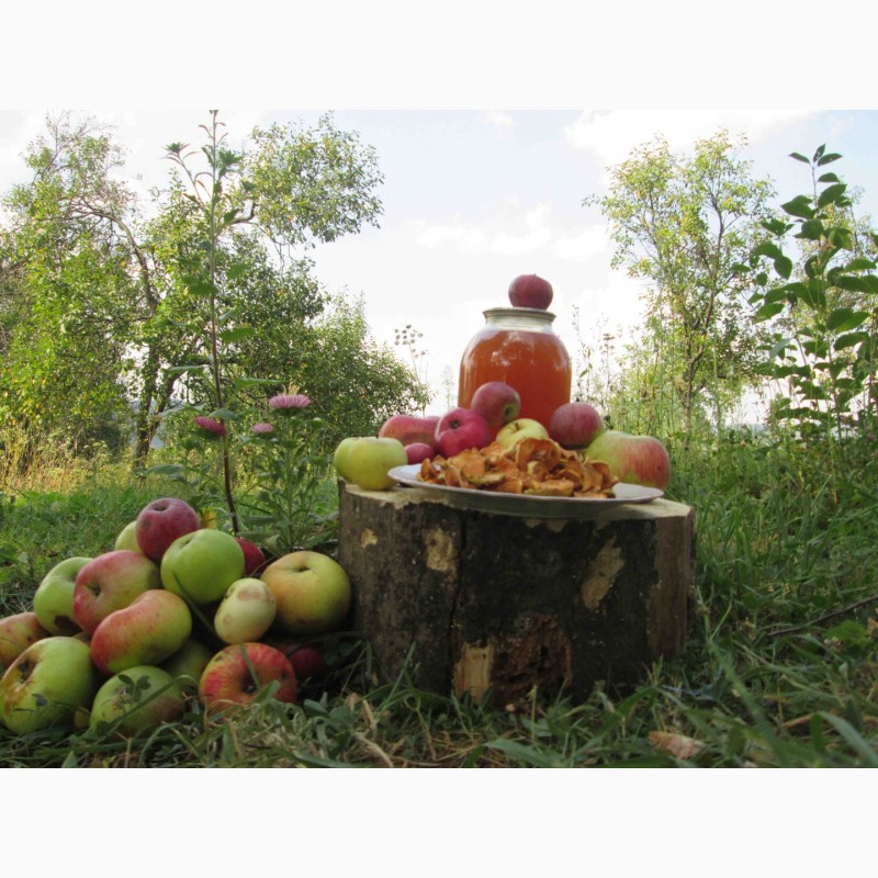 Фото 14. Сок яблочный домашний с горного сада Карпат