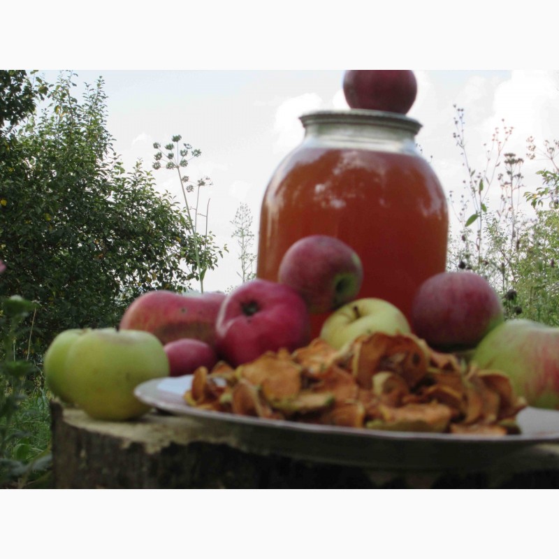 Фото 19. Сок яблочный домашний с горного сада Карпат