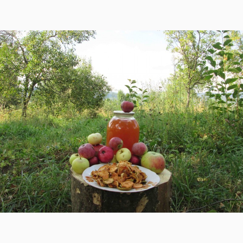 Фото 3. Сок яблочный домашний с горного сада Карпат