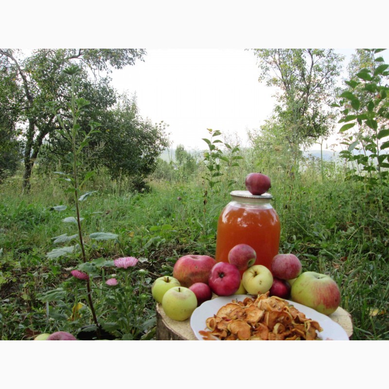 Фото 5. Сок яблочный домашний с горного сада Карпат