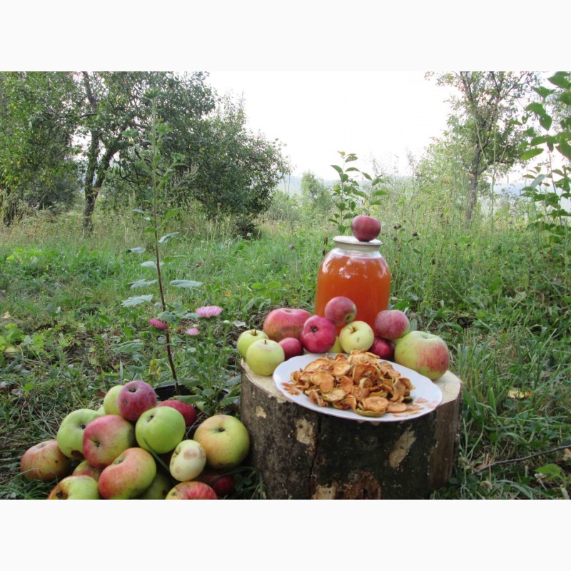 Фото 6. Сок яблочный домашний с горного сада Карпат