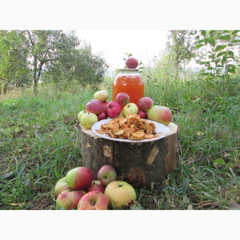 Фото 7. Сок яблочный домашний с горного сада Карпат