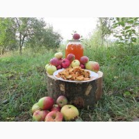 Сок яблочный домашний с горного сада Карпат