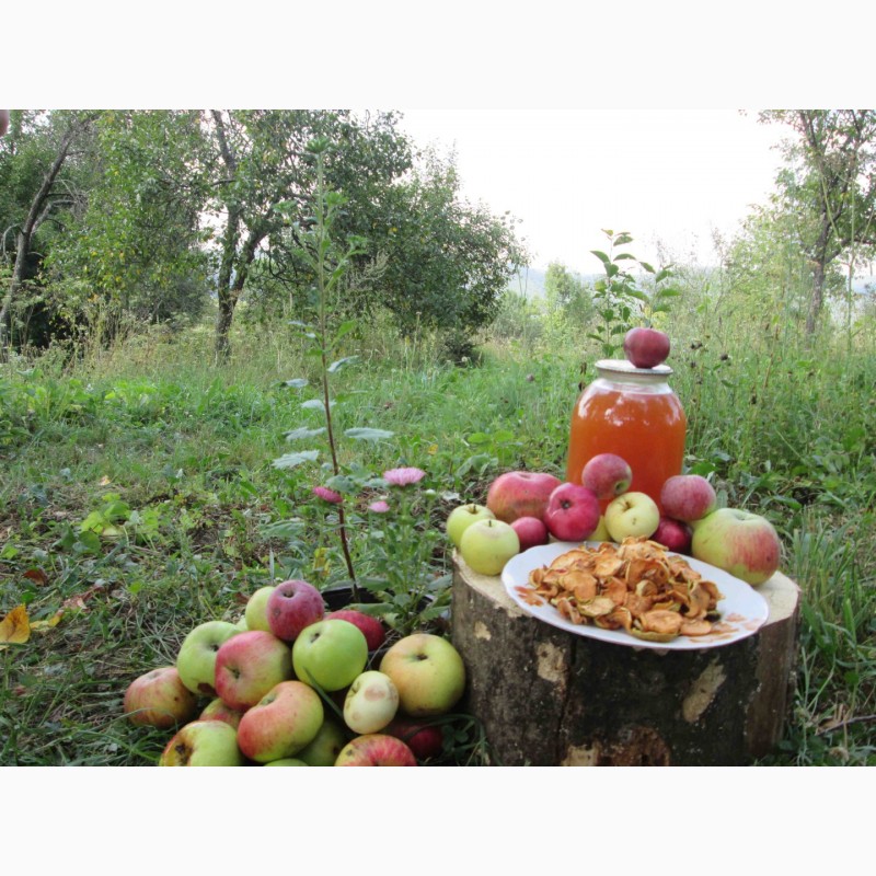 Фото 9. Сок яблочный домашний с горного сада Карпат