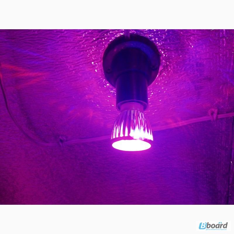 Фитолампа 10 Ватт (светодиодная лампа для растений)