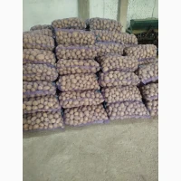 Продам картоплю зі складу